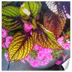 Coleus & Petunia Canvas 20  X 20  by Riverwoman