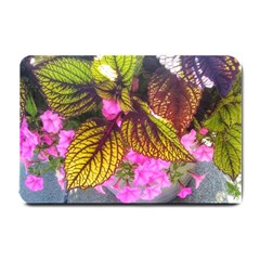 Coleus & Petunia Small Doormat  by Riverwoman