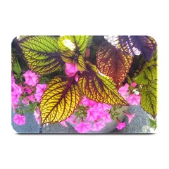 Coleus & Petunia Plate Mats by Riverwoman