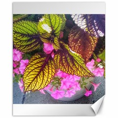 Coleus & Petunia Canvas 11  X 14  by Riverwoman