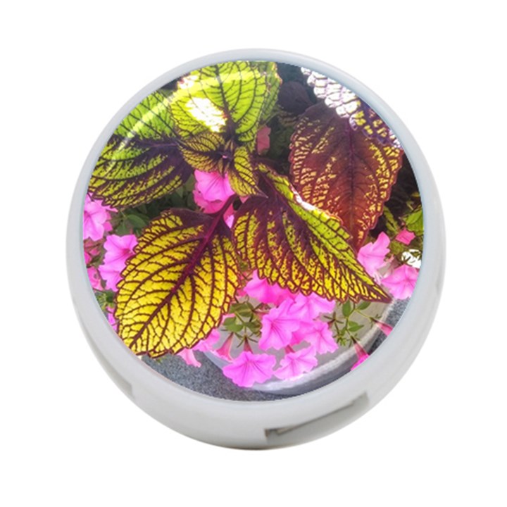 Coleus & Petunia 4-Port USB Hub (Two Sides)