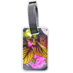 Coleus & Petunia Luggage Tag (one Side) by Riverwoman