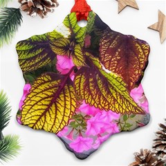 Coleus & Petunia Snowflake Ornament (two Sides) by Riverwoman