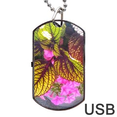 Coleus & Petunia Dog Tag Usb Flash (two Sides) by Riverwoman