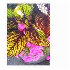 Coleus & Petunia Large Garden Flag (two Sides) by Riverwoman