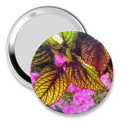 Coleus & Petunia 3  Handbag Mirrors by Riverwoman