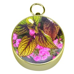 Coleus & Petunia Gold Compasses by Riverwoman