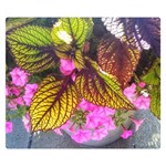 Coleus & Petunia Double Sided Flano Blanket (Small)  50 x40  Blanket Front