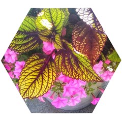 Coleus & Petunia Wooden Puzzle Hexagon