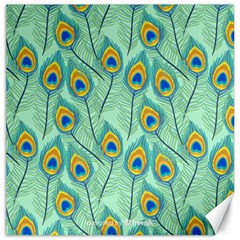 Lovely Peacock Feather Pattern With Flat Design Canvas 16  X 16  by Vaneshart