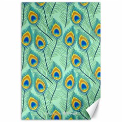 Lovely Peacock Feather Pattern With Flat Design Canvas 24  X 36  by Vaneshart