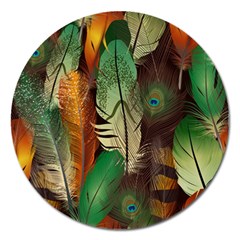 Feathers Realistic Pattern Magnet 5  (round) by Vaneshart