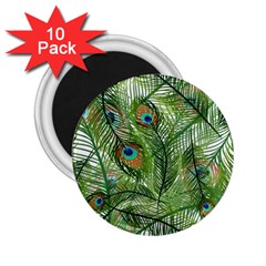 Peacock Feathers Pattern 2 25  Magnets (10 Pack)  by Vaneshart