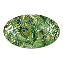 Peacock Feathers Pattern Oval Magnet by Vaneshart