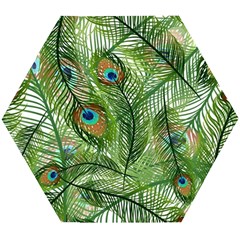 Peacock Feathers Pattern Wooden Puzzle Hexagon