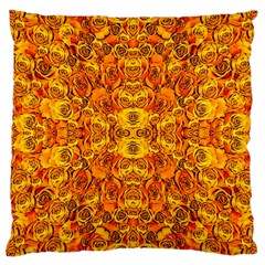 New Arrivals-b-6 Large Cushion Case (two Sides) by ArtworkByPatrick