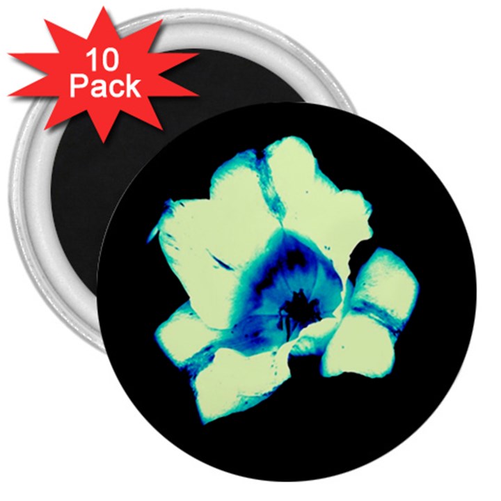 Blue and Yellow Tulip 3  Magnets (10 pack) 