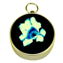 Blue And Yellow Tulip Gold Compasses by okhismakingart