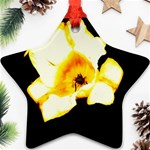 Yellow and Orange Tulip Ornament (Star) Front