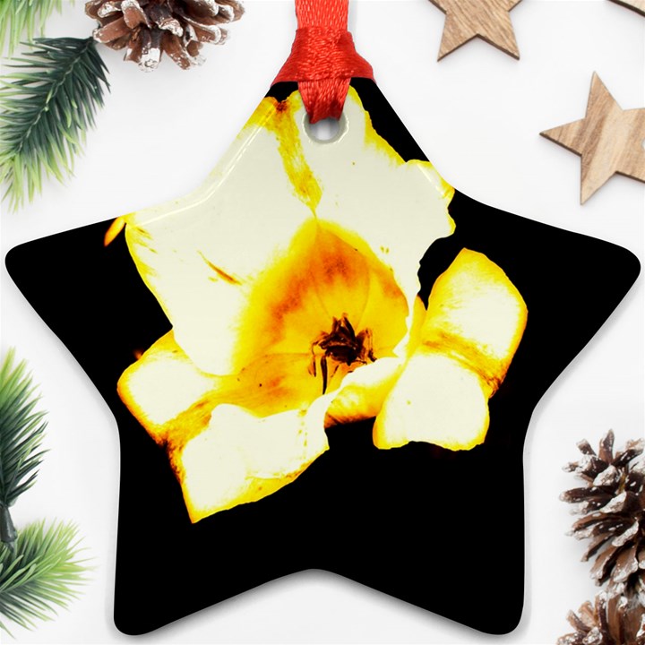 Yellow and Orange Tulip Ornament (Star)