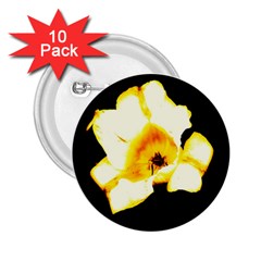 Yellow And Orange Tulip 2 25  Buttons (10 Pack)  by okhismakingart