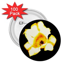 Yellow And Orange Tulip 2 25  Buttons (100 Pack)  by okhismakingart