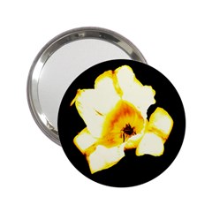 Yellow And Orange Tulip 2 25  Handbag Mirrors by okhismakingart