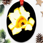 Yellow and Orange Tulip Oval Ornament (Two Sides) Front