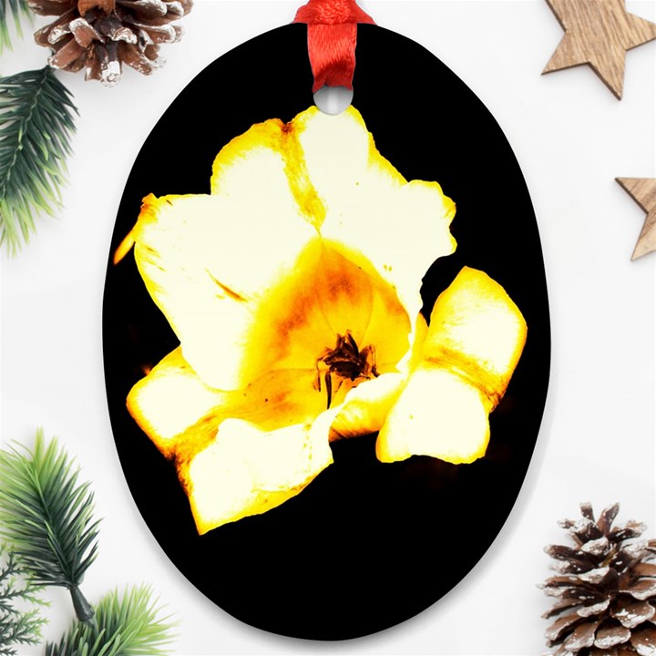 Yellow and Orange Tulip Oval Ornament (Two Sides)