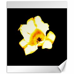 Yellow And Orange Tulip Canvas 8  X 10  by okhismakingart