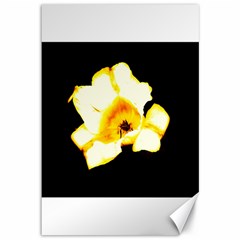 Yellow And Orange Tulip Canvas 12  X 18  by okhismakingart