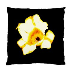 Yellow And Orange Tulip Standard Cushion Case (one Side) by okhismakingart