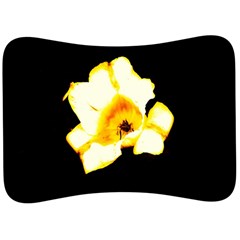 Yellow And Orange Tulip Velour Seat Head Rest Cushion by okhismakingart