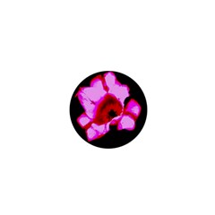 Pink And Red Tulip 1  Mini Magnets by okhismakingart