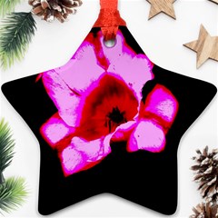 Pink And Red Tulip Ornament (star)