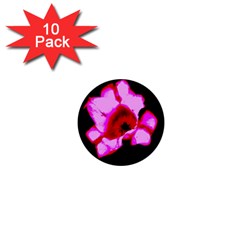 Pink And Red Tulip 1  Mini Buttons (10 Pack)  by okhismakingart