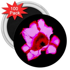 Pink And Red Tulip 3  Magnets (100 Pack) by okhismakingart