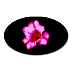 Pink And Red Tulip Oval Magnet by okhismakingart