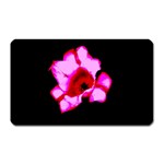 Pink and Red Tulip Magnet (Rectangular) Front