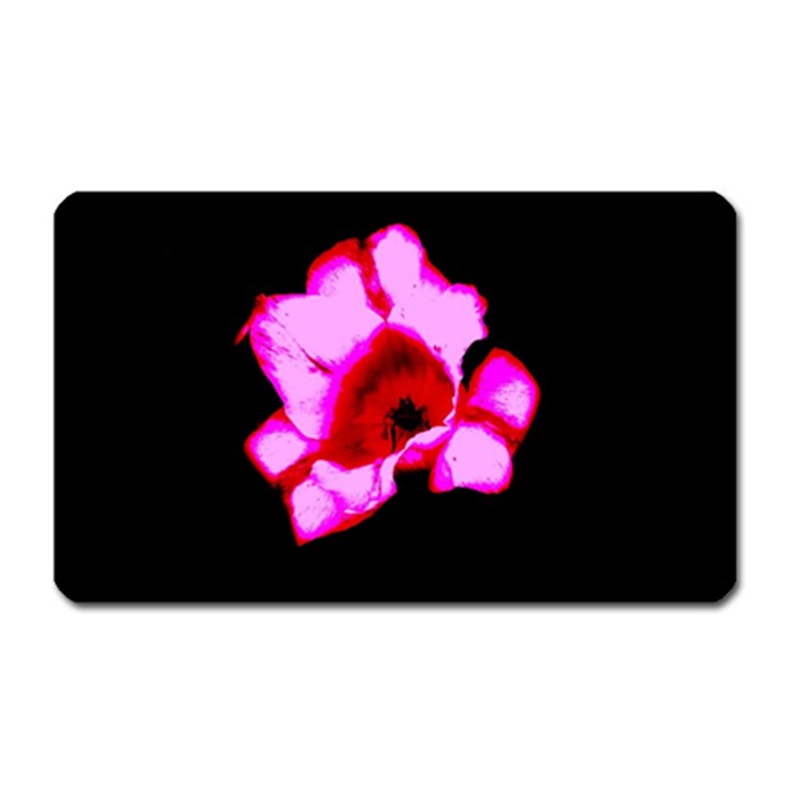 Pink and Red Tulip Magnet (Rectangular)