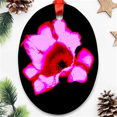 Pink And Red Tulip Oval Ornament (two Sides)