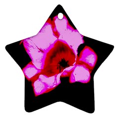 Pink And Red Tulip Star Ornament (two Sides) by okhismakingart