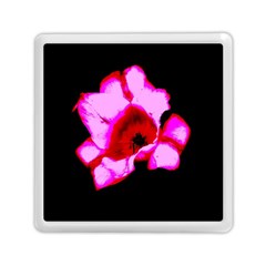 Pink And Red Tulip Memory Card Reader (square) by okhismakingart