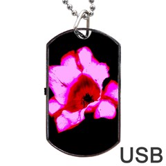 Pink And Red Tulip Dog Tag Usb Flash (two Sides) by okhismakingart