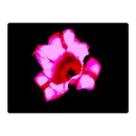 Pink and Red Tulip Double Sided Flano Blanket (Mini)  35 x27  Blanket Front