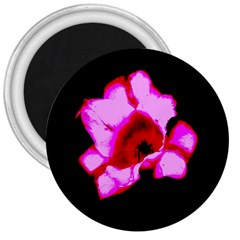 Pink And Red Tulip 3  Magnets by okhismakingart