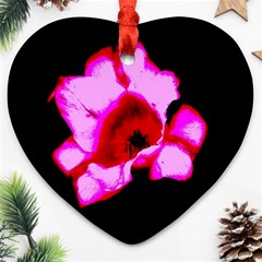 Pink And Red Tulip Ornament (heart)