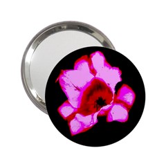 Pink And Red Tulip 2 25  Handbag Mirrors by okhismakingart