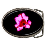 Pink and Red Tulip Belt Buckles Front