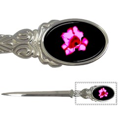 Pink And Red Tulip Letter Opener by okhismakingart